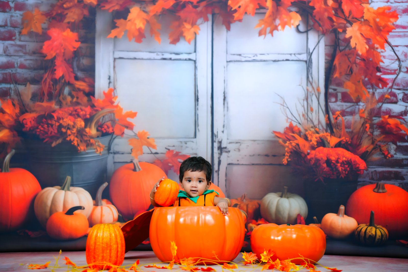 Representative pre-birthday 2d photography: Autumn Harvest