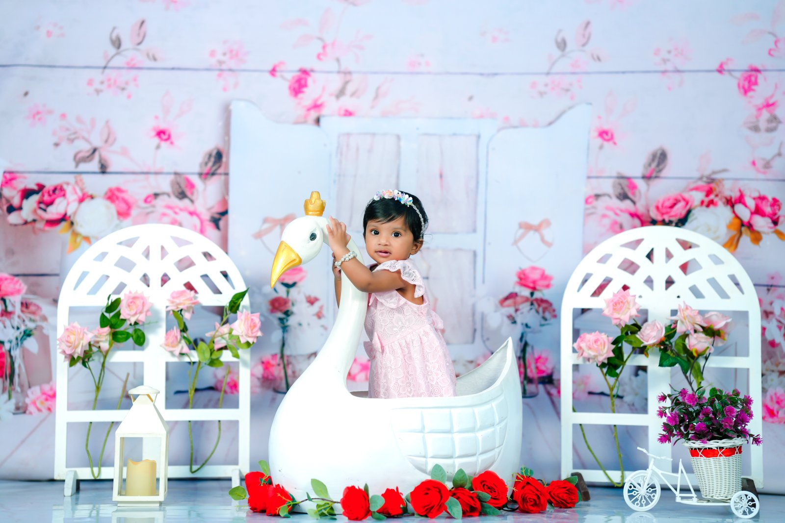 Representative pre-birthday 2d photography: Fairytale Swan